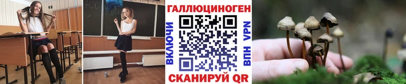купить наркотик  Шумиха  Галлюциногенные грибы ЛСД 